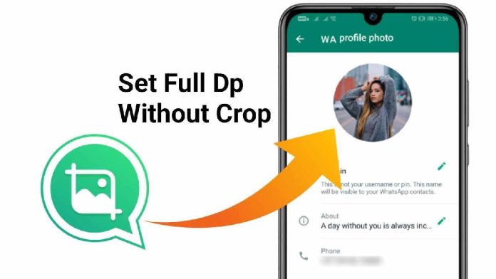 Cum setezi sau schimbi poza de profil pe WhatsApp