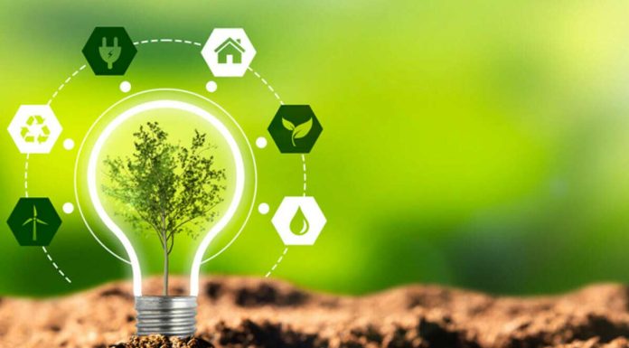 Contract Hidroelectrica online
