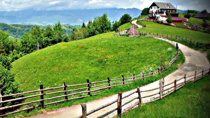 Team Building Bran Team Building Bran