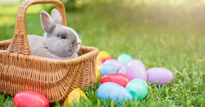 Urari de Paste scurte