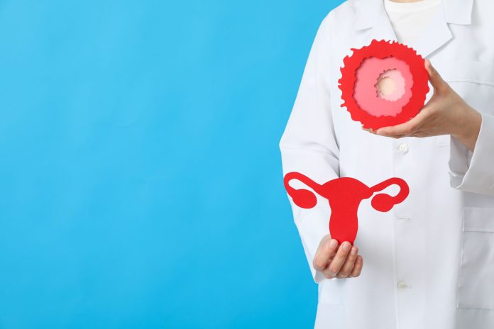 Rata de succes a fertilizării în vitro: Factori importanți Rata de succes a fertilizării în vitro: Factori importanți