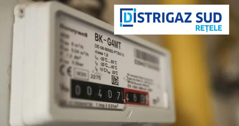 Telefon Distrigaz Sud Rețele – avarii și siguranță gaze