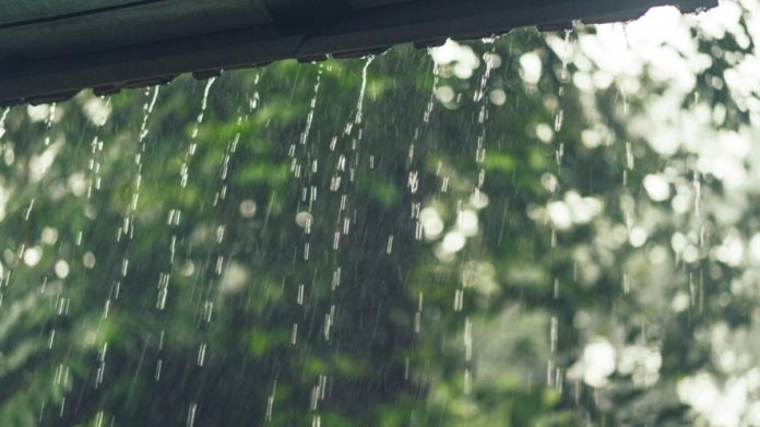 Jgheaburi și burlane montate incorect care deversează apa de ploaie direct pe gardul proprietății vecine