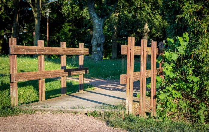 Distanța minimă legală pentru plantarea arborilor lângă gard