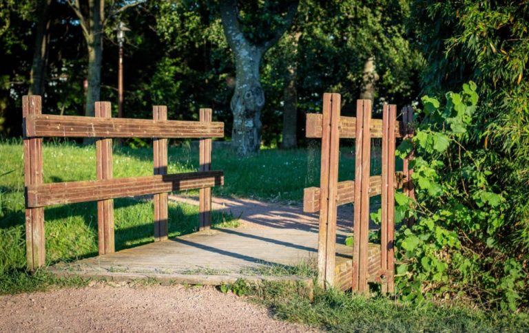 Distanța minimă legală pentru copaci langa gard