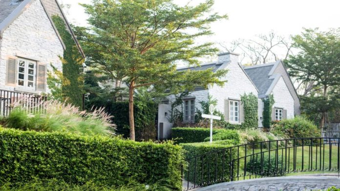 Plantarea de tuia sau pomi pe linia de hotar. Lege 2023 Plantarea de tuia sau pomi pe linia de hotar. Lege 2023