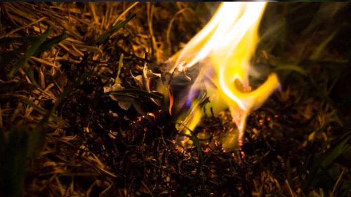 vecin care arde deșeuri în grădină vecin care arde deșeuri în grădină