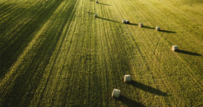 Cumpărare Teren Agricol Extravilan