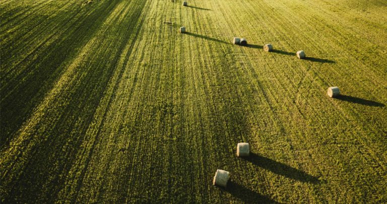 Ghid Achiziție Teren Agricol Extravilan Preempțiune 2026