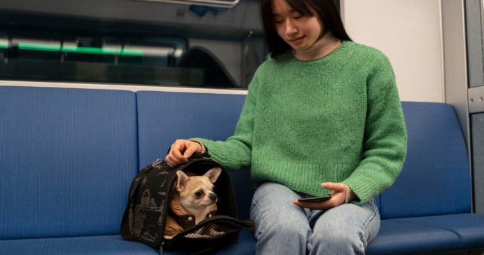 Un câine mic cu botniță și lesă stând cuminte lângă stăpânul său pe peronul unei gări aglomerate