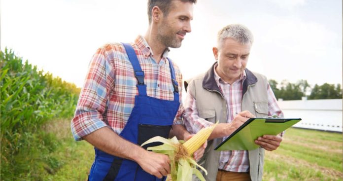 Declarare Impozitare Arenda Teren Agricol ANAF