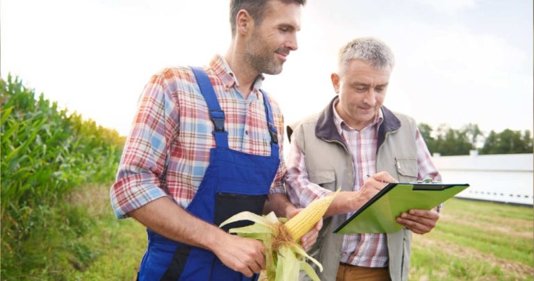 Declarare Impozitare Arenda Teren Agricol ANAF