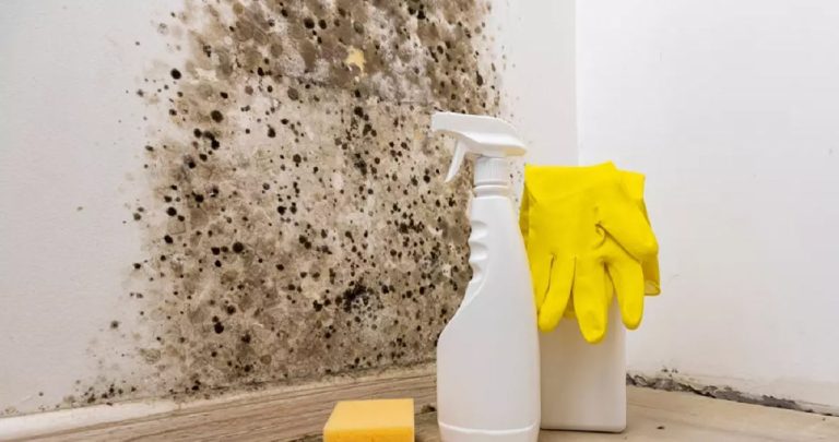 Mucegai infiltratii reparatii apartament chirie proprietar 2026