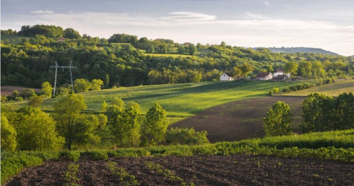 Scoatere Teren Circuit Agricol Dosar Tehnic Topograf Scoatere Teren Circuit Agricol Dosar Tehnic Topograf