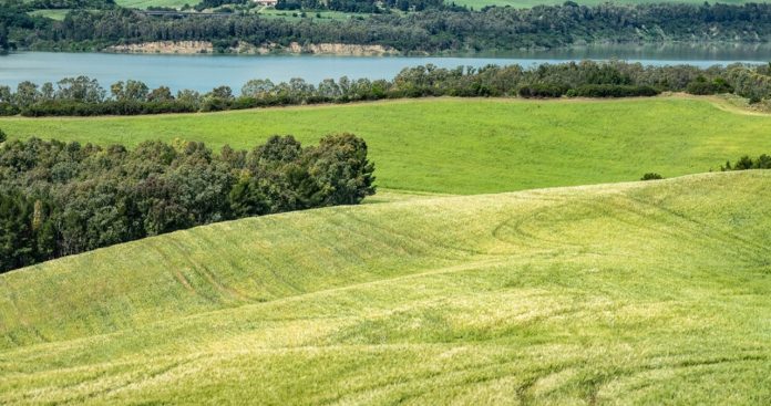 Un arhitect prezentând un plan urbanistic unui client deasupra unei hărți cadastrale, având în fundal un teren agricol la marginea unui oraș