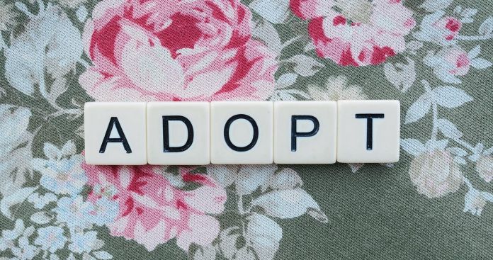 Adopția Internațională în România 2026: Ghid pentru Diaspora