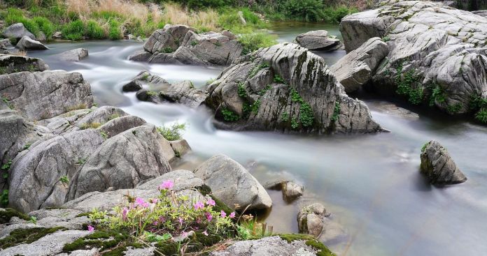 Descriere Audio Netflix: Ce este și cum se activează în 2026