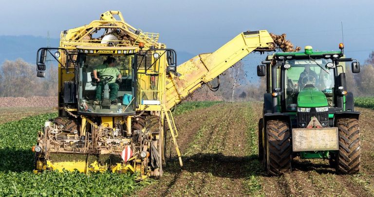 Fonduri Europene Tineri Fermieri 2026: Ghid Complet Submăsura 6.1