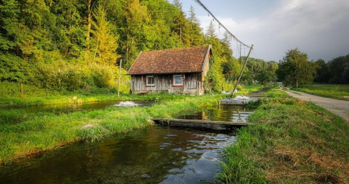 Licența Acvacultură 2026: Ghid Obținere Baltă Pescuit Privată