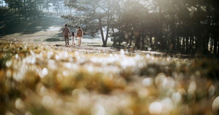 Suplinire Acord Părinte Plecat în Străinătate - Ghid 2026