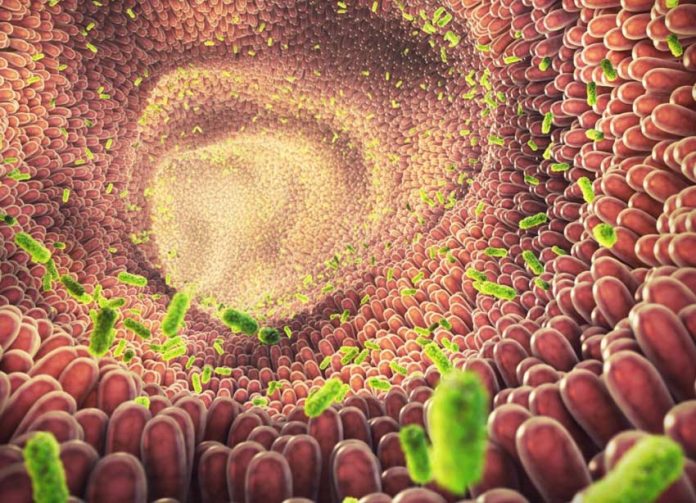 floraintestinala